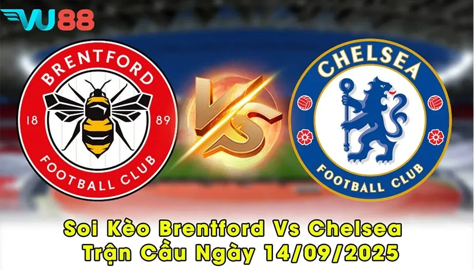 VU88 Soi Kèo Brentford Vs Chelsea - Trận Cầu Ngày 14/09/2025