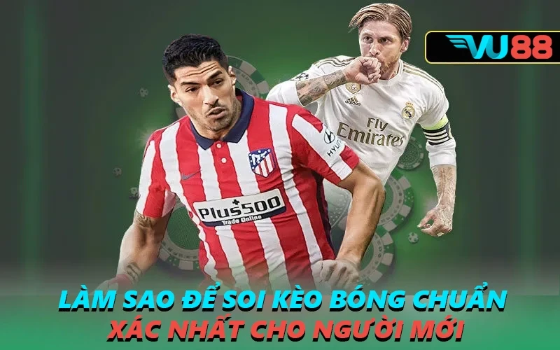 VU88 Làm Sao Để Soi Kèo Bóng Chuẩn Xác Nhất Cho Người Mới