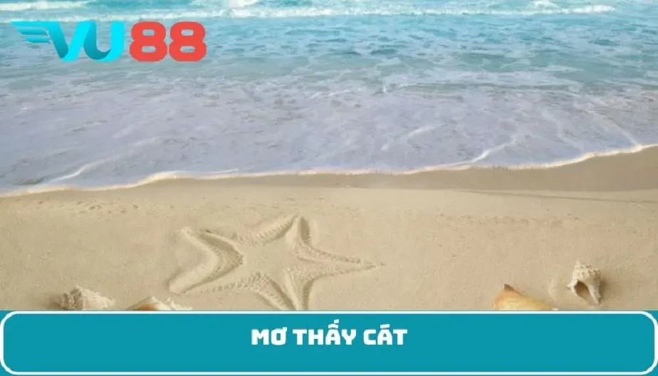 VU88 Khám Phá Giấc Mơ Thấy Cát - Điềm Báo Và Dự Đoán Chính Xác