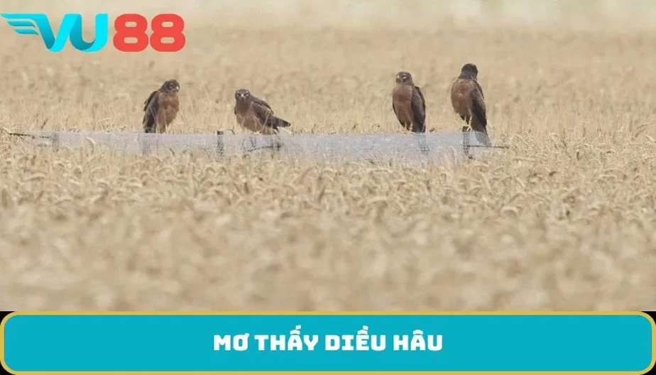 VU88 Giải Mã Giấc Mơ Thấy Diều Hâu – Điềm Báo Và Con Số May Mắn