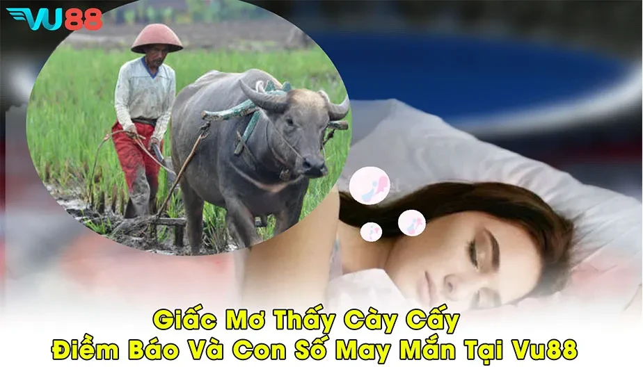 VU88 Giấc Mơ Thấy Cày Cấy - Điềm Báo Và Con Số May Mắn Tại VU88