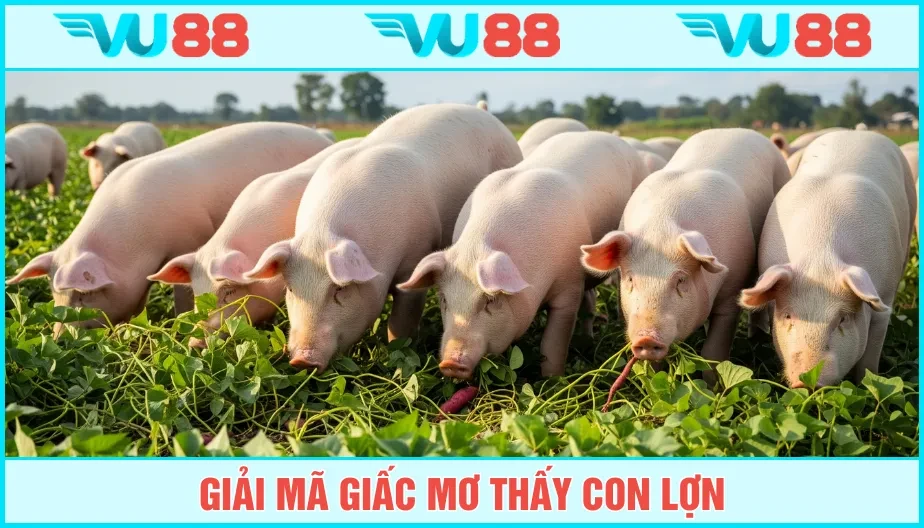VU88 Mơ Thấy Con Lợn - Liên Kết Tiềm Thức Và Số Đề May Mắn