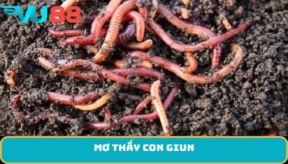 VU88 Mơ Thấy Con Giun - Điềm Báo Và Lời Dự Đoán Từ Giấc Mơ Kỳ Lạ