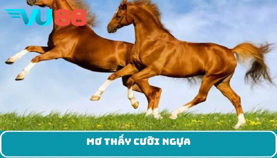 VU88 Mơ Thấy Cưỡi Ngựa - Điềm Báo Và Những Con Số Bí Mật May Mắn