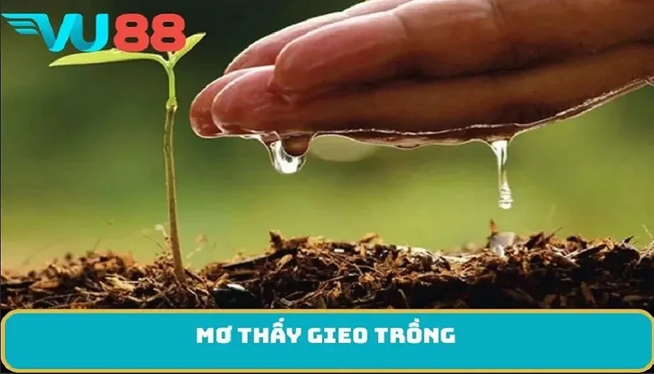 VU88 Ý Nghĩa Mơ Thấy Gieo Trồng - Điềm Báo Và Con Số May Mắn