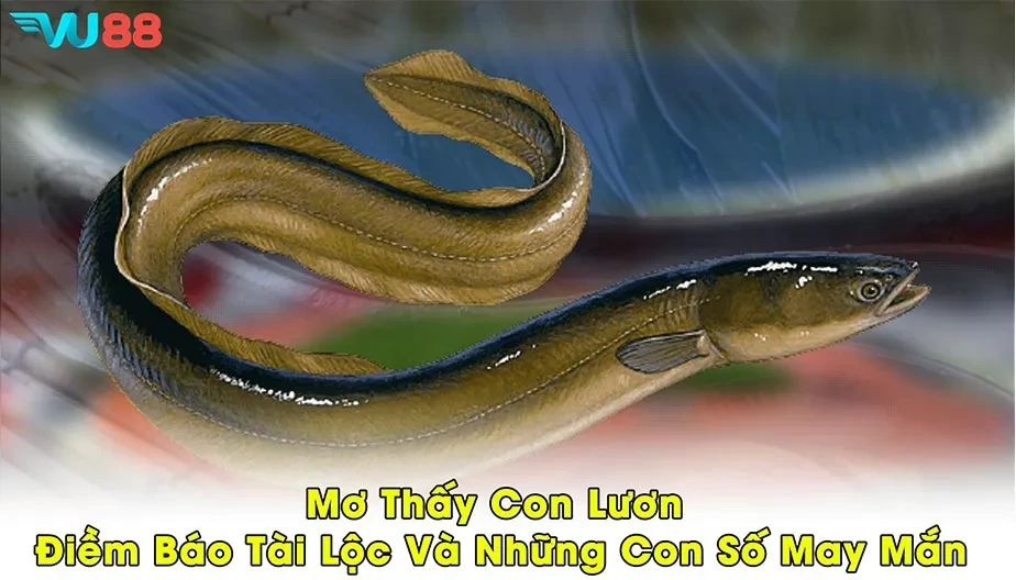 VU88 Mơ Thấy Con Lươn - Điềm Báo Tài Lộc Và Những Con Số May Mắn