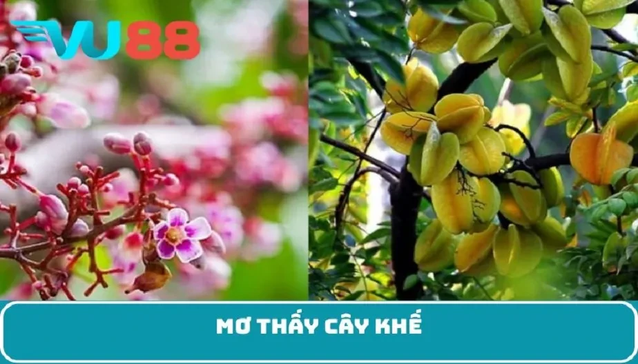 VU88 Mơ Thấy Cây Khế - Điềm Báo Lành Hay Dữ Và Con Số May Mắn?