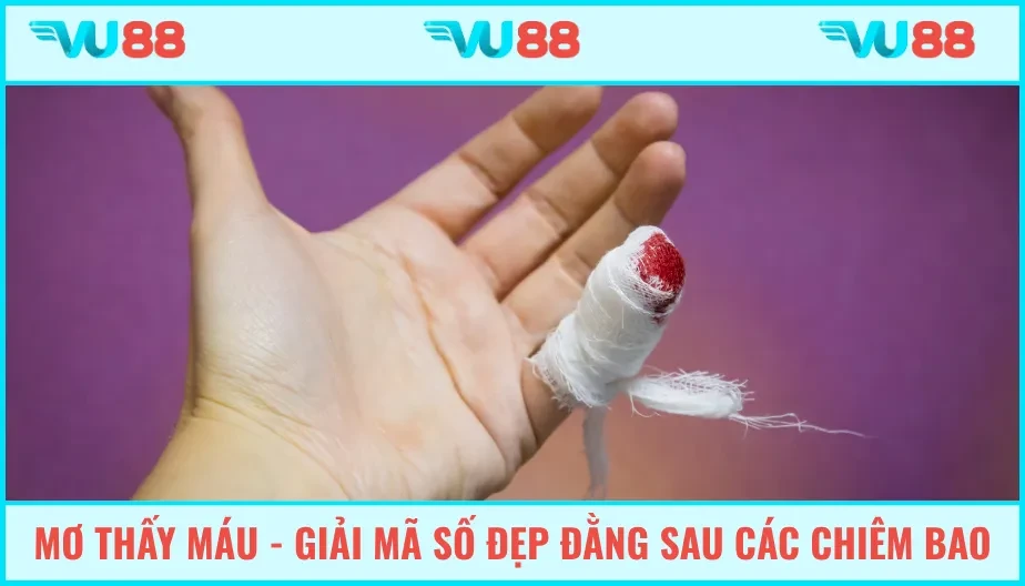 VU88 Mơ Thấy Máu - Giải Mã Số Đẹp Đằng Sau Các Chiêm Bao