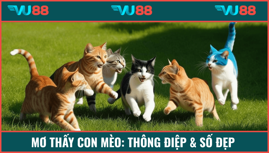 VU88 Mơ Thấy Con Mèo: Thông Điệp Và Số Đẹp Dành Cho Cược Thủ