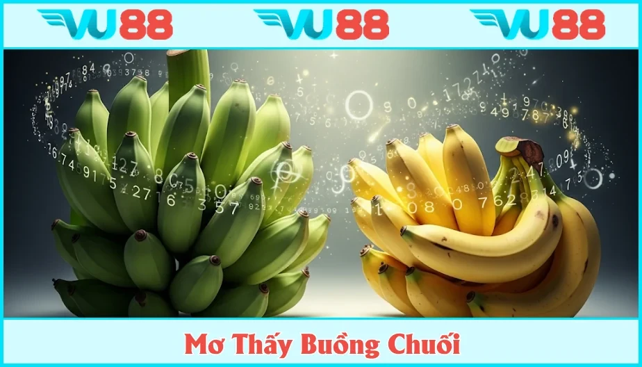 VU88 Mơ Thấy Buồng Chuối Điềm Xui Hay May? Giải Mã Con Số Tài Lộc