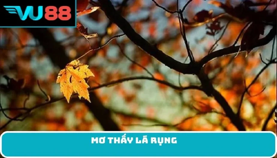 VU88 Mơ Thấy Lá Rụng - Điềm Báo Gì, Điều Cần Biết Về Giấc Mơ Này