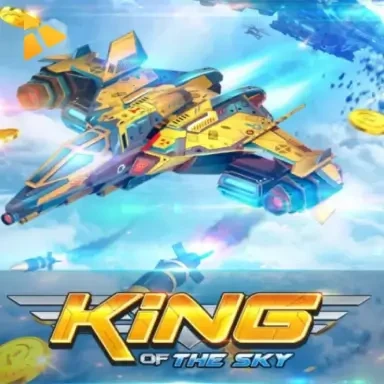 VU88 King Of The Sky