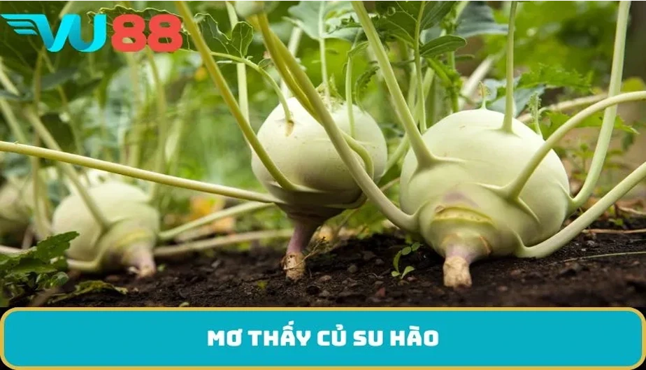 VU88 Mơ Thấy Củ Su Hào - Điềm Báo Và Con Số May Mắn Bạn Cần Biết
