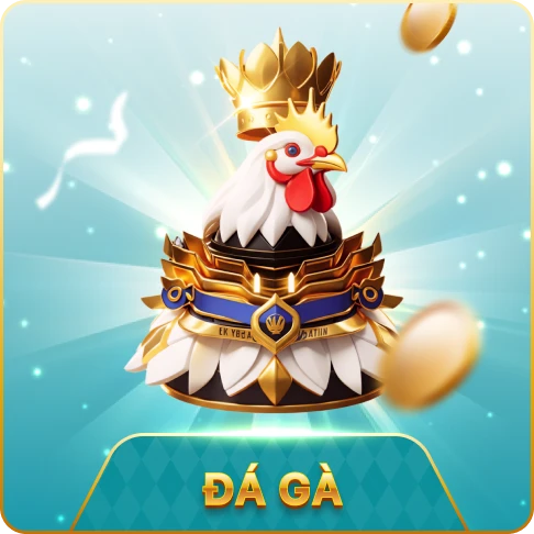 VU88 Đá gà