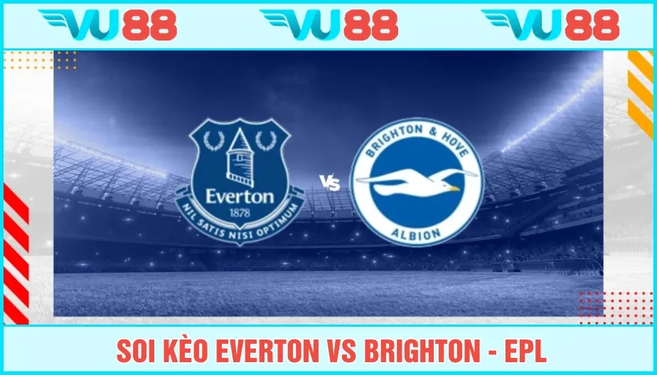 VU88 Soi Kèo Everton Vs Brighton 20h Ngày 24/8 - Premier League