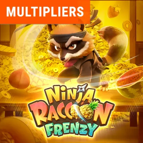 VU88 Ninja Raccoon Frenzy