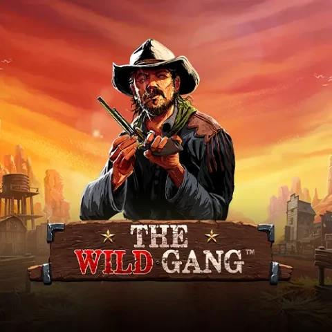 VU88 The Wild Gang